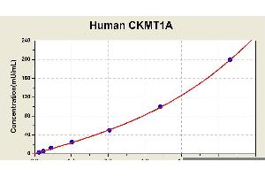 Diagramm of the ELISA kit to detect Human CKMT1Awith the optical density on the x-axis and the concentration on the y-axis. (CKMT1A ELISA Kit)