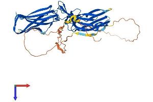 Arrestin Domain Containing 1 (ARRDC1) (AA 1-434) protein (His tag)