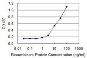 Detection limit for recombinant GST tagged MBNL1 is 0. (MBNL1 antibody  (AA 1-343))
