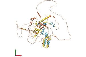 AlphaFold protein structure predicition of Mouse Recombinant Hic1 Protein, UniprotID Q9R1Y5 (HIC1 Protein (AA 1-733) (His tag))