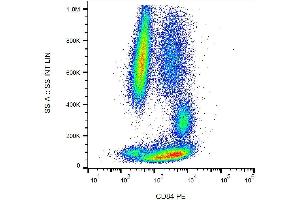 Surface staining of CD84 in human peripheral blood with anti-CD84 (CD84. (CD84 antibody  (PE))