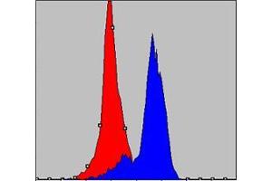Flow cytometric analysis of K562 cells using COX4I1 mouse mAb (blue) and negative control (red). (COX IV antibody)