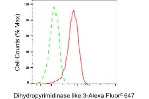 Flow cytometric analysis of Dihydropyrimidinase like 3 expression in HT- cells using Dihydropyrimidinase like 3 antibody (ABIN7798338), 1:2,000). (Recombinant DPYSL3 antibody)
