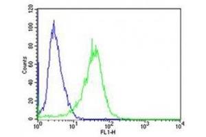 Flow cytometric analysis of A431 cells using PCSK9 antibody (green) compared to an isotype control of rabbit IgG (blue). (PCSK9 antibody  (AA 144-173))