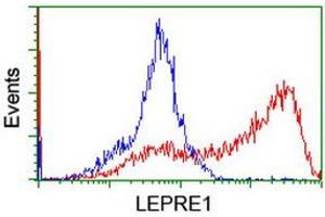 HEK293T cells transfected with either RC222535 overexpress plasmid (Red) or empty vector control plasmid (Blue) were immunostained by anti-LEPRE1 antibody (ABIN2455936), and then analyzed by flow cytometry. (LEPRE1 antibody)