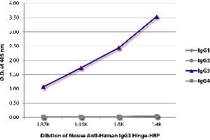 ELISA plate was coated with purified human IgG1, IgG2, IgG3, and IgG4. (Mouse anti-Human IgG3 (Hinge Region) Antibody (HRP))
