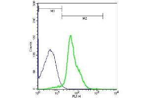 Mouse thymocytes probed with Rabbit Anti-CD6 Polyclonal Antibody, Unconjugated (ABIN741000) (green) at 1:100 for 40 minutes followed by a FITC conjugated secondary compared to control cells (blue). (CD6 antibody  (AA 251-350))