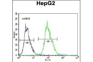 OR4K5 Antibody (C-term) (ABIN655937 and ABIN2845329) flow cytometric analysis of HepG2 cells (right histogram) compared to a negative control cell (left histogram).