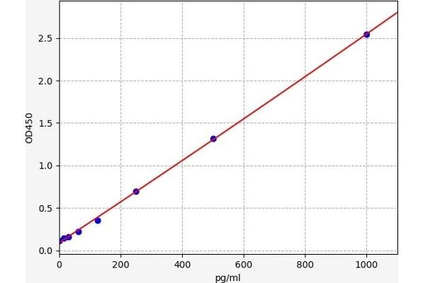 Cardiotrophin 1 ELISA Kit