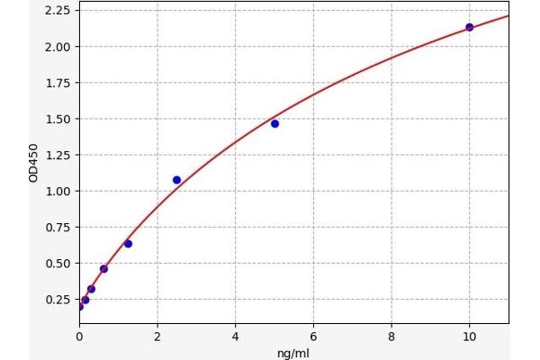 STOML2 ELISA Kit