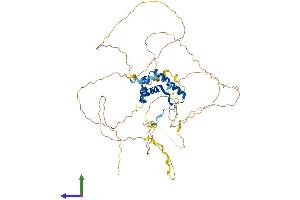 AlphaFold protein structure predicition of Human Recombinant SOX9 Protein, UniprotID P48436 (SOX9 Protein (AA 1-509) (His tag))