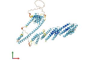 Protein Structure (PS) image for Exocyst Complex Component 8 (EXO84) (AA 1-725) protein (His tag) (ABIN7547403)
