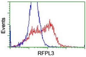 Flow Cytometry (FACS) image for anti-Ret Finger Protein-Like 3 (RFPL3) antibody (ABIN1500676) (RFPL3 antibody)