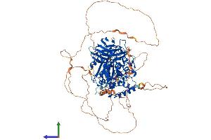 AlphaFold protein structure predicition of Mouse Recombinant Agbl5 Protein, UniprotID Q09M02 (AGBL5 Protein (AA 1-886) (His tag))