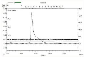 Cadherin 9 (CDH9) (AA 54-615), Gel filtration Superose 6, Fraction 7-9 (Cadherin 9 Protein (CDH9) (AA 54-615) (MBP tag))