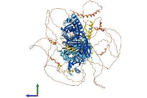 AlphaFold protein structure predicition of Mouse Recombinant Synj1 Protein, UniprotID Q8CHC4
