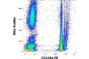 Flow cytometry surface staining pattern of human peripheral whole blood stained using anti-human CD235a (JC159) PE antibody (10 μL reagent / 100 μL of peripheral whole blood). (CD235a/GYPA antibody  (PE))