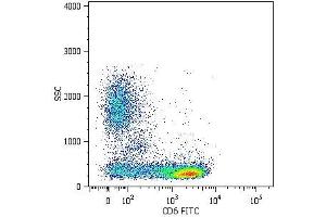 Surface staining of human peripheral blood cells with anti-human CD6 (MEM-98) FITC. (CD6 antibody)