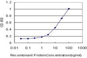 Detection limit for recombinant GST tagged CDK4 is approximately 0. (CDK4 antibody  (AA 211-303))