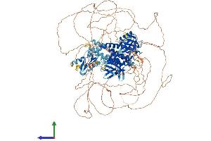 AlphaFold protein structure predicition of Mouse Recombinant Fgd5 Protein, UniprotID Q80UZ0