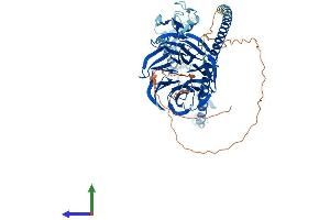 Protein Structure (PS) image for TNF Receptor-Associated Factor 7 (TRAF7) (AA 1-670) protein (His tag) (ABIN7544675)