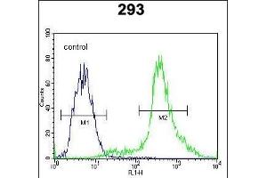 CTNNB1 Antibody (N-term) flow cytometric analysis of 293 cells (right histogram) compared to a negative control cell (left histogram). (CTNNB1 antibody  (N-Term))