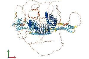 AlphaFold protein structure predicition of Mouse Recombinant Carmil3 Protein, UniprotID Q3UFQ8 (LRRC16B Protein (AA 1-1375) (His tag))