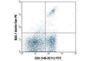 Flow Cytometry (FACS) image for anti-V alpha 2 TCR antibody (Biotin) (ABIN2661294) (V alpha 2 TCR antibody (Biotin))