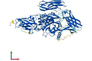 Protein Structure (PS) image for Transglutaminase 4 (Prostate) (TGM4) (AA 1-684) protein (His tag) (ABIN7544373)