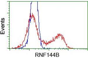 HEK293T cells transfected with either RC209302 overexpress plasmid(Red) or empty vector control plasmid(Blue) were immunostained by anti-RNF144B antibody(TA500698), and then analyzed by flow cytometry. (RNF144B antibody  (AA 1-256))