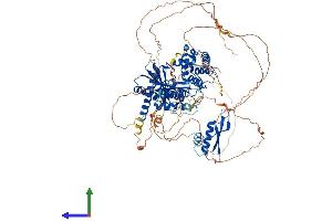 AlphaFold protein structure predicition of Mouse Recombinant Ilf3 Protein, UniprotID Q9Z1X4 (Interleukin enhancer-binding factor 3 (ILF3) (AA 1-898) protein (His tag))