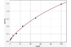 ACPP ELISA Kit