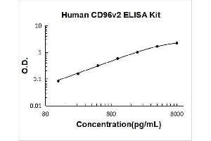 CD96 (CD96) ELISA Kit