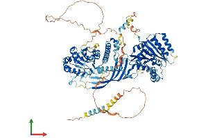 AlphaFold protein structure predicition of Human Recombinant CHSY3 Protein, UniprotID Q70JA7