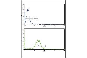 Flow cytometric analysis of MDA-231 cells using EPN3 Antibody (N-term)(bottom histogram) compared to a negative control cell (top histogram). (EPN3 antibody  (N-Term))