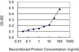 Detection limit for recombinant GST tagged CCL28 is 1 ng/ml as a capture antibody. (CCL28 antibody  (AA 24-127))