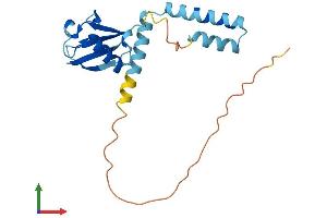 Protein Structure (PS) image for Ubiquitin-Like 4B (UBL4B) (AA 1-188) protein (His tag) (ABIN7560517)