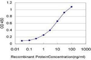Detection limit for recombinant GST tagged NKX3-1 is approximately 0. (NKX3-1 antibody  (AA 100-209))