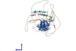 AlphaFold protein structure predicition of Human Recombinant ZFR2 Protein, UniprotID Q9UPR6