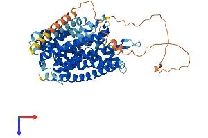 AlphaFold protein structure predicition of Human Recombinant SLC32A1 Protein, UniprotID Q9H598 (SLC32A1 Protein (AA 1-525) (His tag))