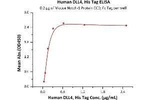 Immobilized Mouse Notch-1 Protein ECD, Fc Tag at 2 μg/mL (100 μL/well) can bind Human DLL4, His Tag (ABIN2180972,ABIN2180971) with a linear range of 0. (DLL4 Protein (AA 27-524) (His tag))