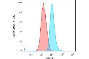 Flow Cytometric Analysis of trypsinized MeOH-fixed HeLa cells using Cytokeratin 14 Mouse Monoclonal Antibody (LL002) followed by Goat anti-Mouse IgG-CF488 (Blue); Isotype Control (Red).