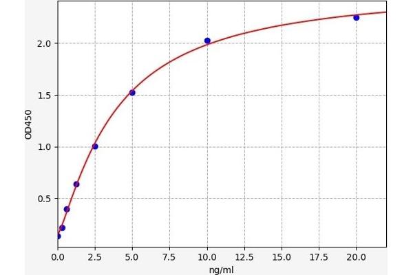 LAMTOR1 ELISA Kit