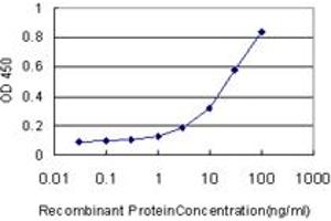 Detection limit for recombinant GST tagged DNASE1L1 is approximately 0. (DNASEX antibody  (AA 18-302))