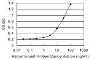 Detection limit for recombinant GST tagged SNPH is 0. (Syntaphilin antibody  (AA 251-348))