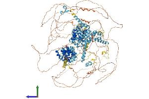 Protein Structure (PS) image for Eukaryotic Translation Initiation Factor 4 gamma 3 (EIF4G3) (AA 1-1585) protein (His tag) (ABIN7554156)