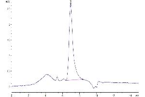 The purity of Biotinylated Human VEGF165 is greater than 95 % as determined by SEC-HPLC. (VEGF 165 (AA 27-191) protein (His-Avi Tag,Biotin))