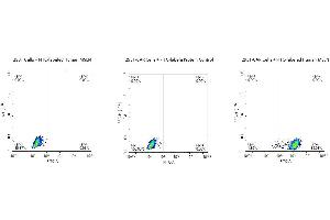 Flow Cytometry (FACS) image for Mesothelin (MSLN) (AA 296-580) protein (FITC,Fc Tag) (ABIN7275284)