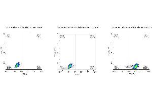 FACS Analysis of Anti-MSLN CAR Expression. (Mesothelin Protein (MSLN) (AA 296-580) (FITC,Fc Tag))