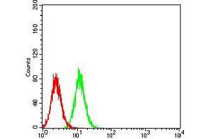 Flow Cytometry (FACS) image for anti-V-Akt Murine Thymoma Viral Oncogene Homolog 3 (Protein Kinase B, Gamma) (AKT3) (AA 37-150) antibody (ABIN5542570)